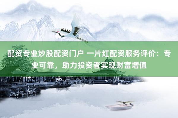 配资专业炒股配资门户 一片红配资服务评价：专业可靠，助力投资者实现财富增值