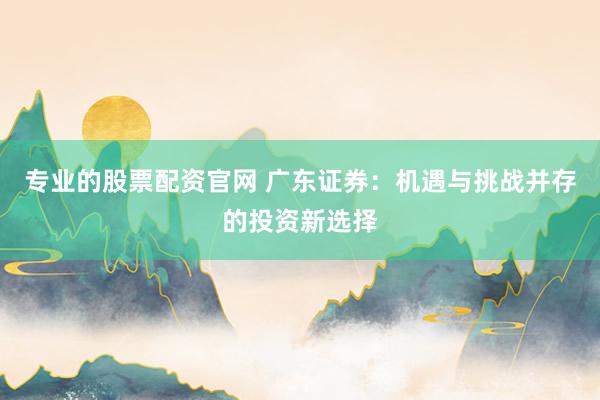 专业的股票配资官网 广东证券：机遇与挑战并存的投资新选择