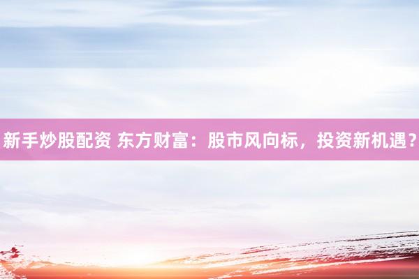 新手炒股配资 东方财富：股市风向标，投资新机遇？