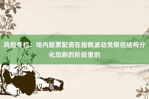 风控专栏：场内股票配资在指数波动受限但结构分化加剧的阶段里的